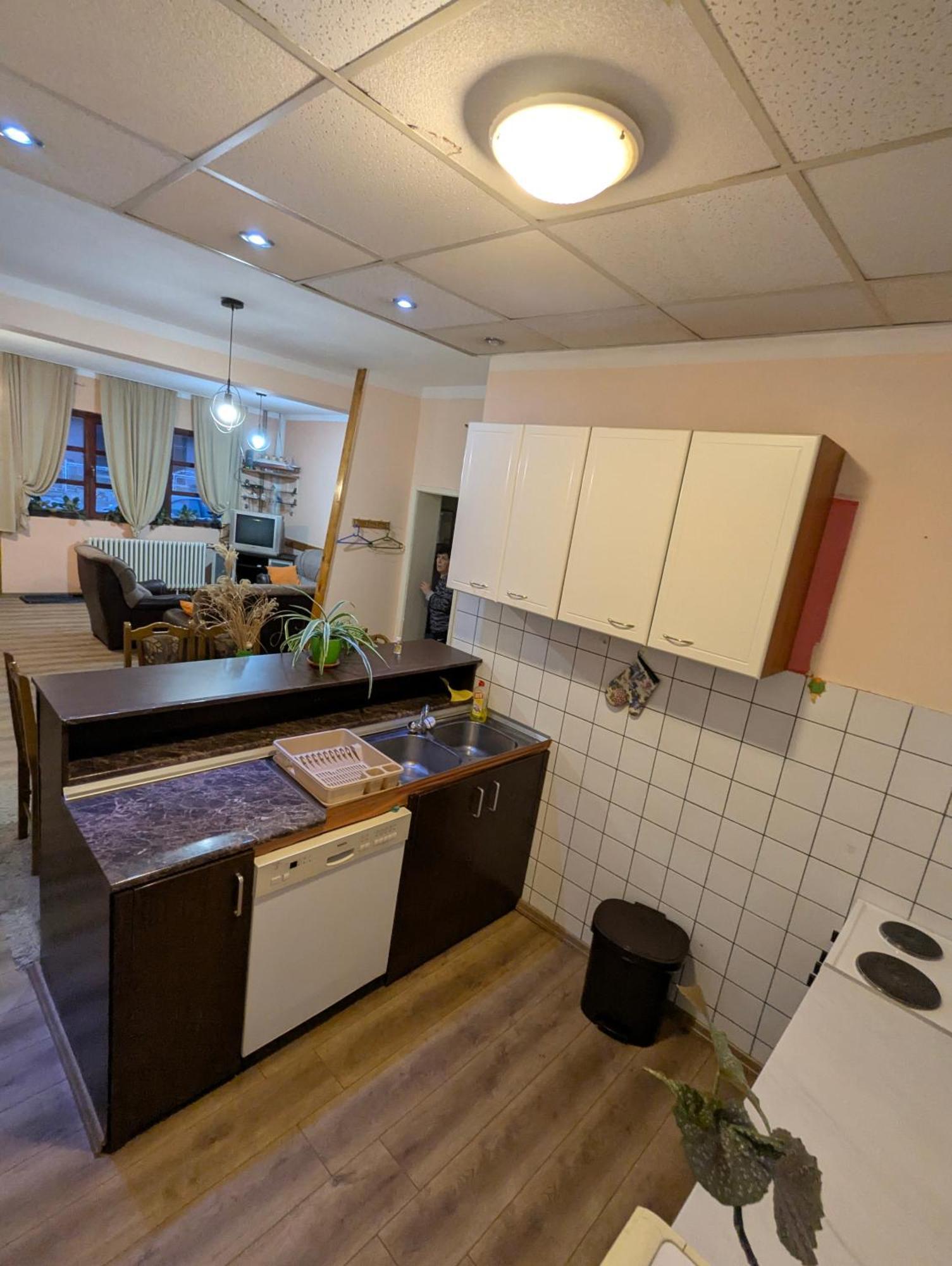 Apartman Dunja I Milos Mokra Gora Eksteriør bilde