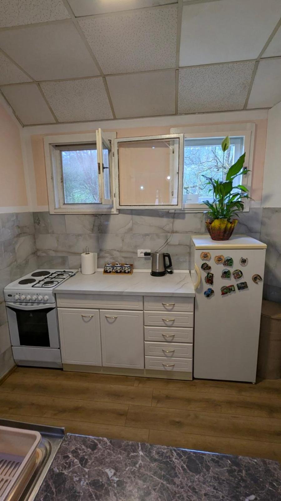 Apartman Dunja I Milos Mokra Gora Eksteriør bilde